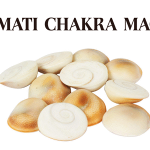 Gomati Chakra Magic